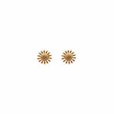 Golden Daisy Sparkle Stud Earrings - B706
