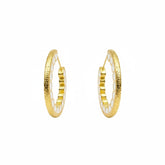Golden Artistic Hoop Earrings - B317