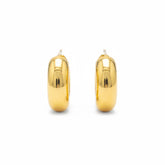 Golden Dome Stud Earrings - B326