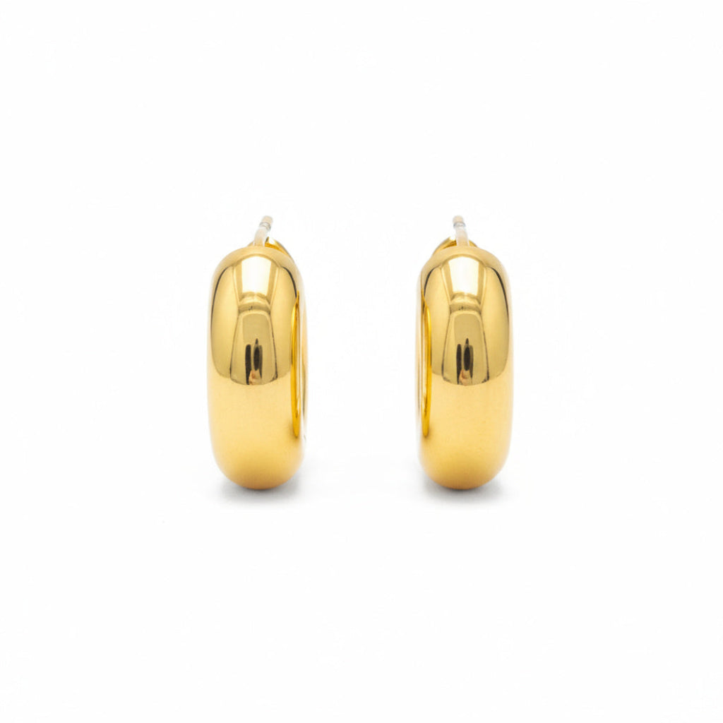 Golden Dome Stud Earrings - B326