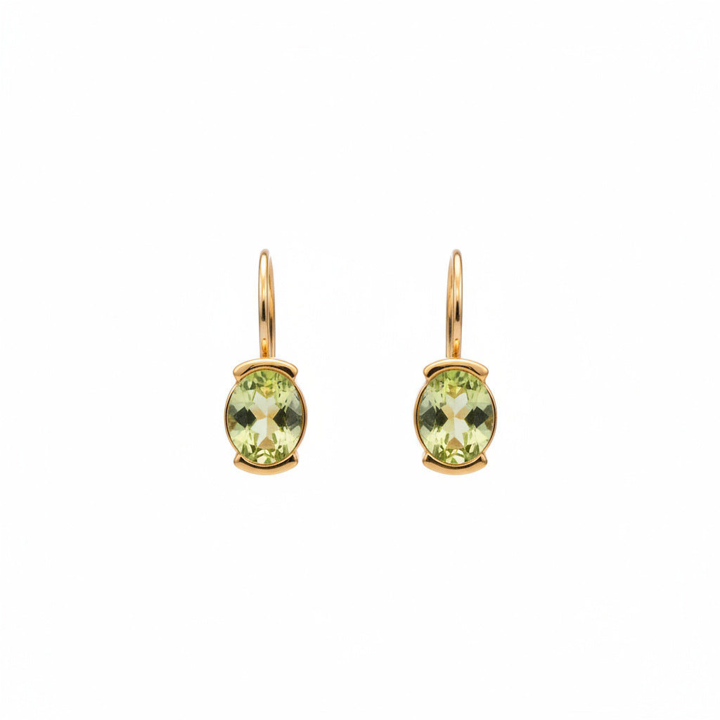 Green Gemstone Drop Earrings - B650